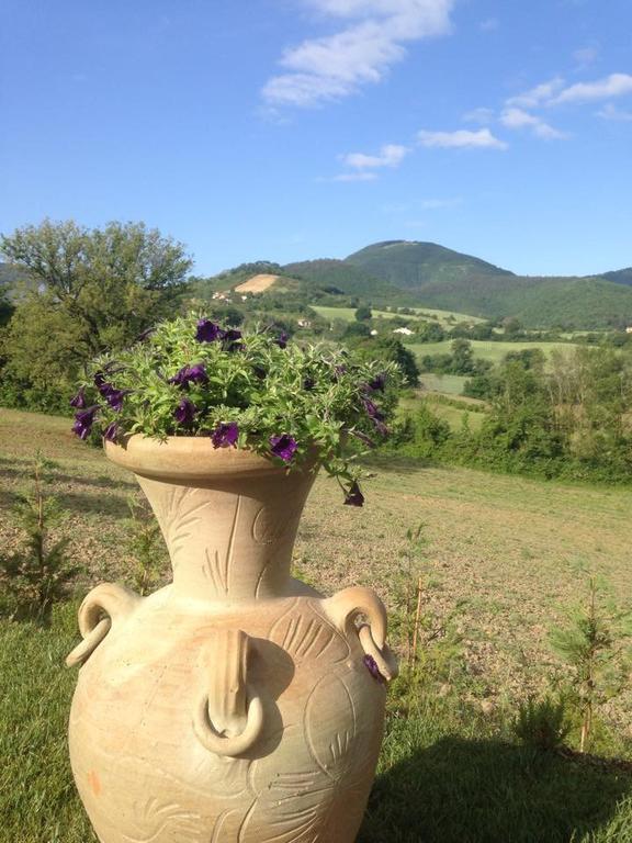 Agriturismo Gioie Di Campagna Fabriano Luaran gambar