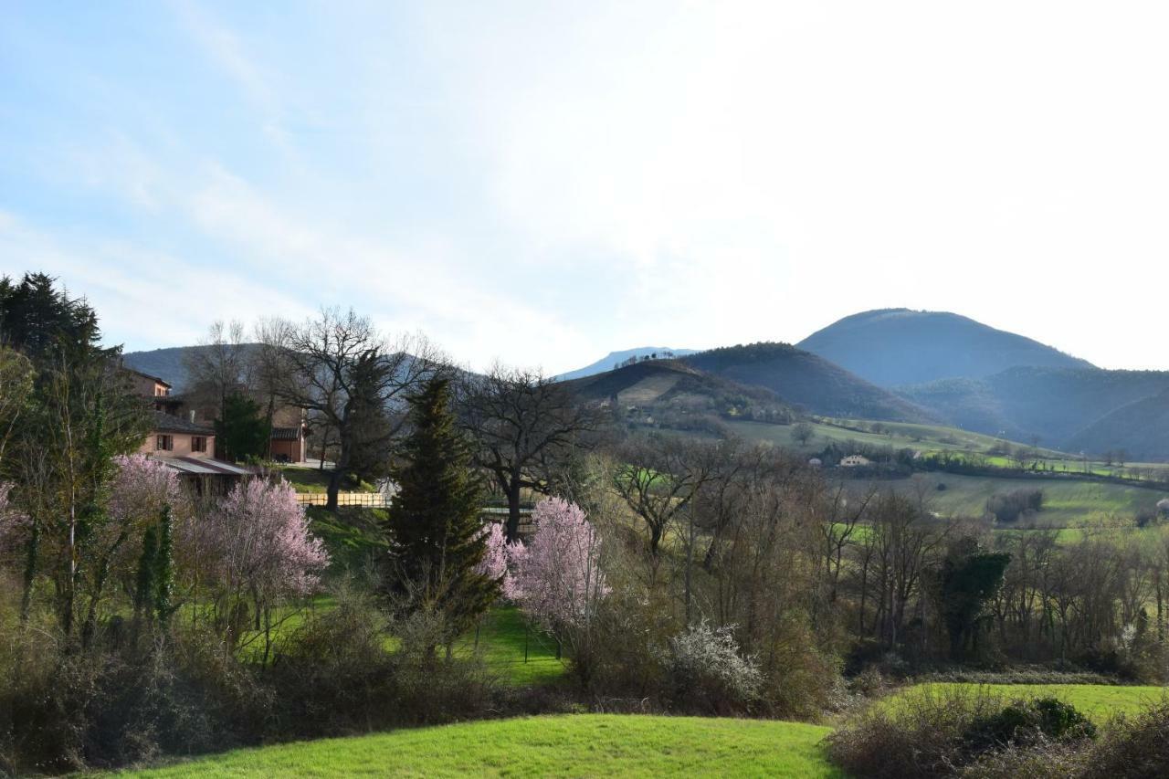 Agriturismo Gioie Di Campagna Fabriano Luaran gambar